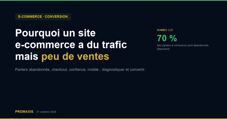 Pourquoi un site e-commerce a du trafic mais peu de ventes — Promaxis