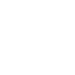 Logo WordPress - création de sites web - Promaxis Lausanne